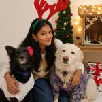 BURAQ PETS