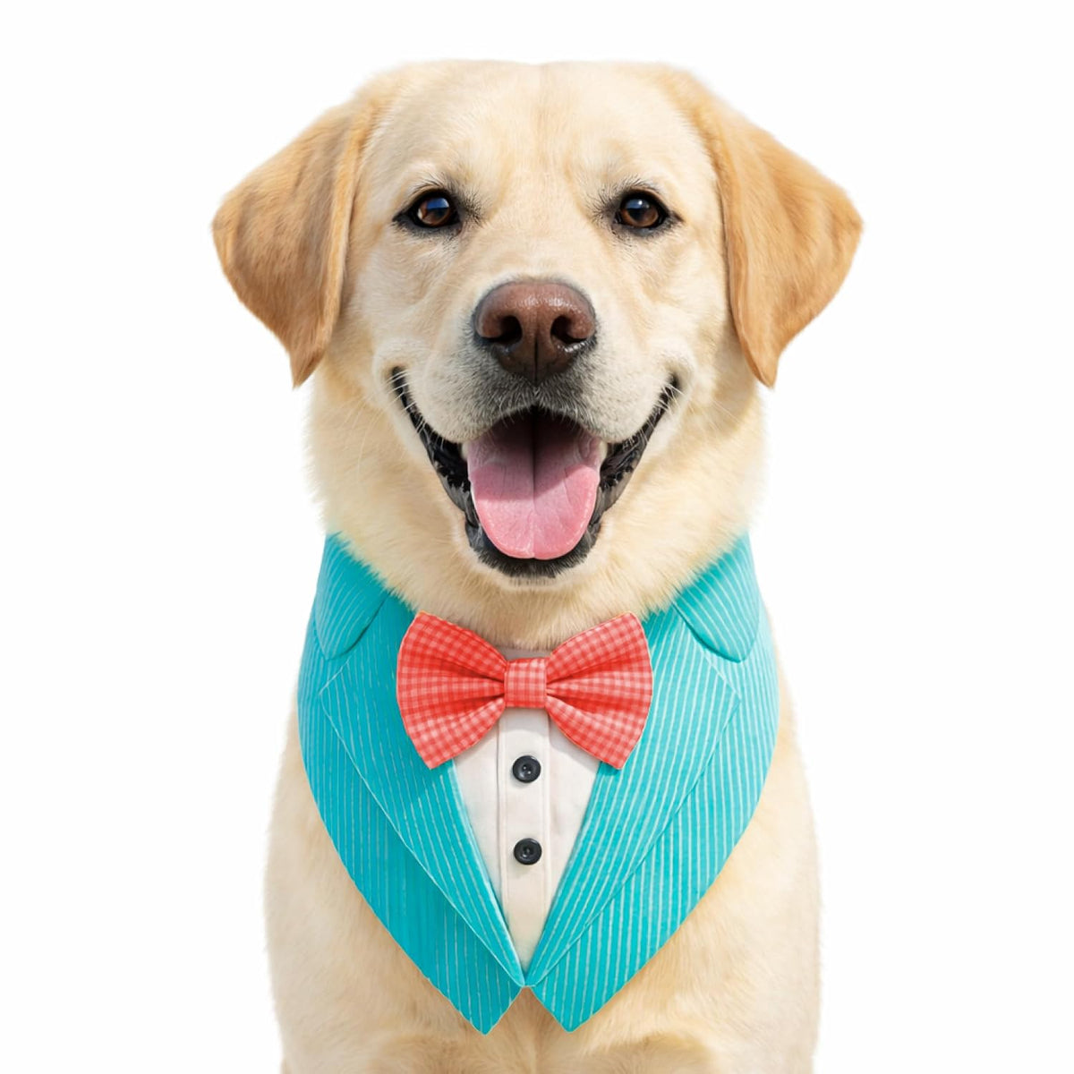 Dog Bandana W Pattern Wedding & Parties for Small to Large Dogs