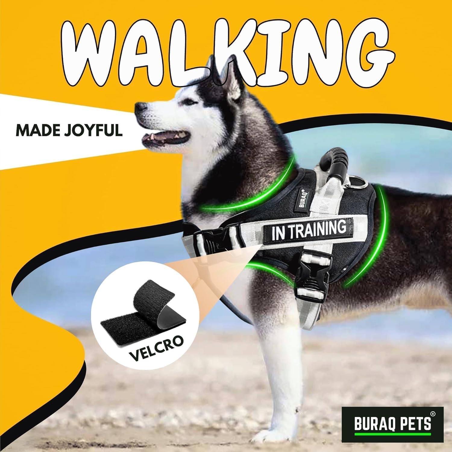 Tactical Dog Collar – Adjustable Nylon with Control Handle – premium pet product by Buraq Pets
