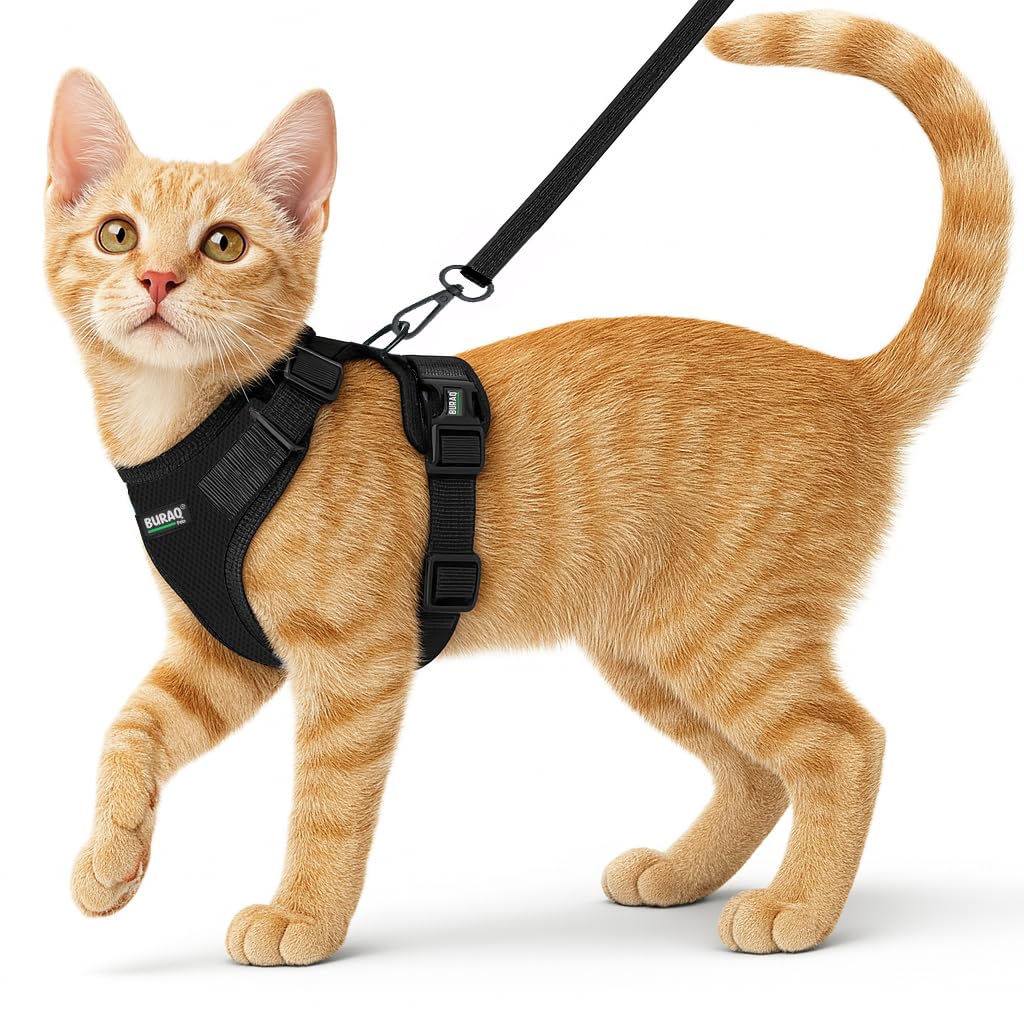 No Pull Cat Harness with Leash – Ultra-Light & Stylish Design