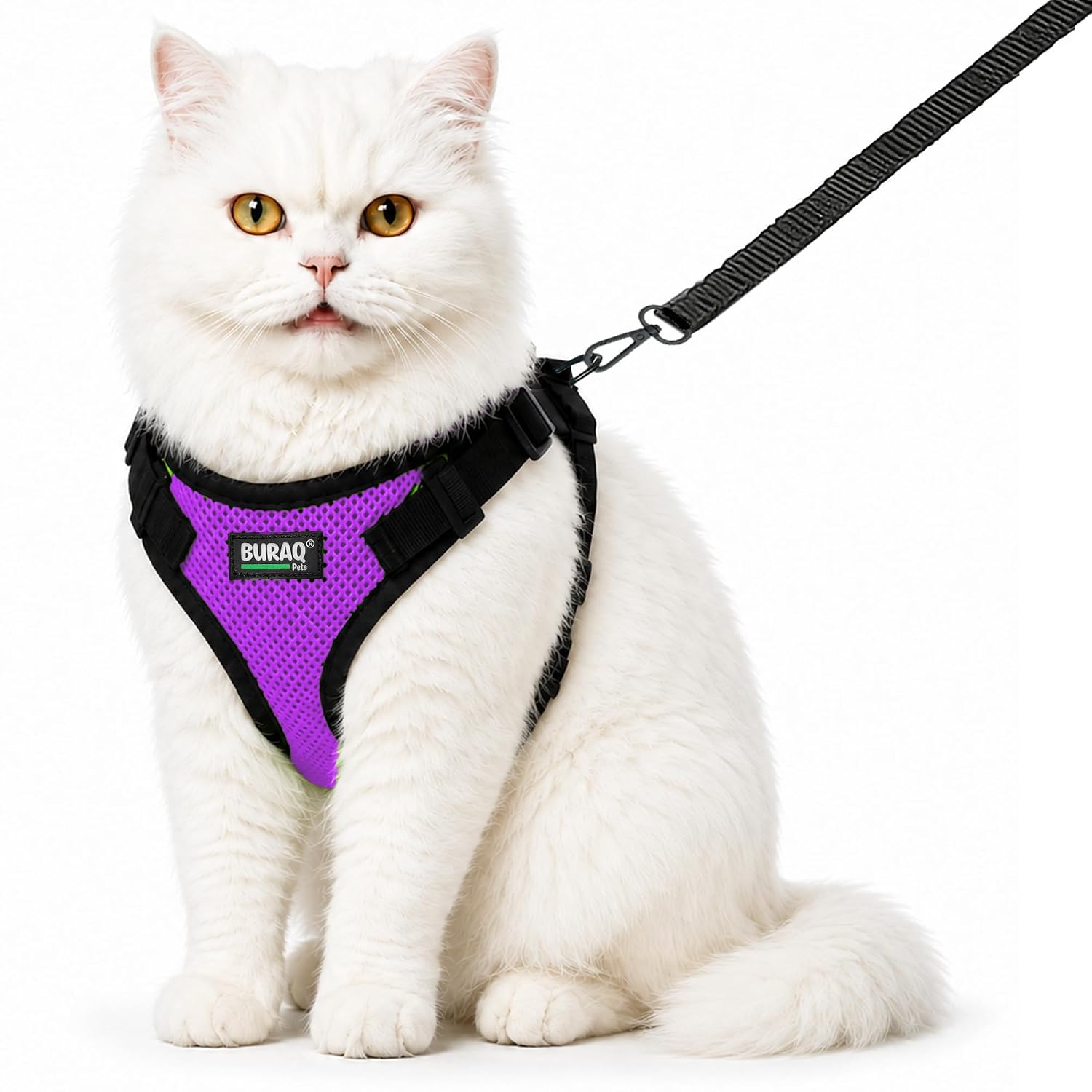 No Pull Cat Harness with Leash – Ultra-Light & Stylish Design