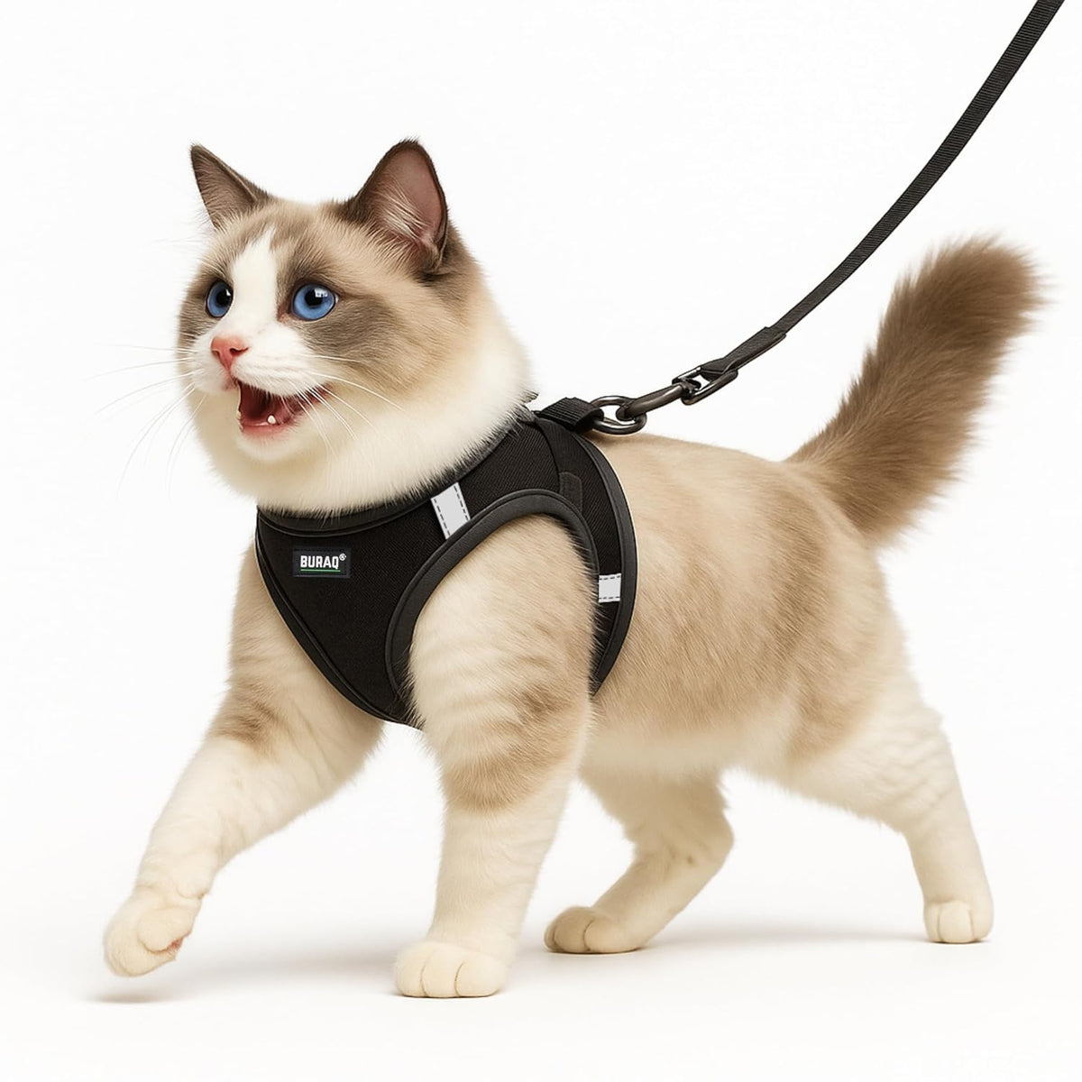 Adjustable Cat Harness with Leash Air Mesh Walking S