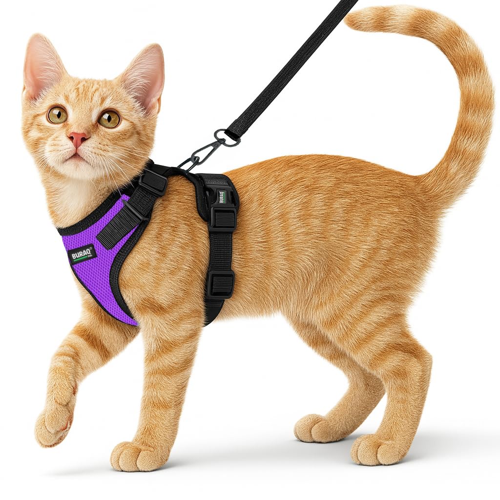 No Pull Cat Harness with Leash – Ultra-Light & Stylish Design