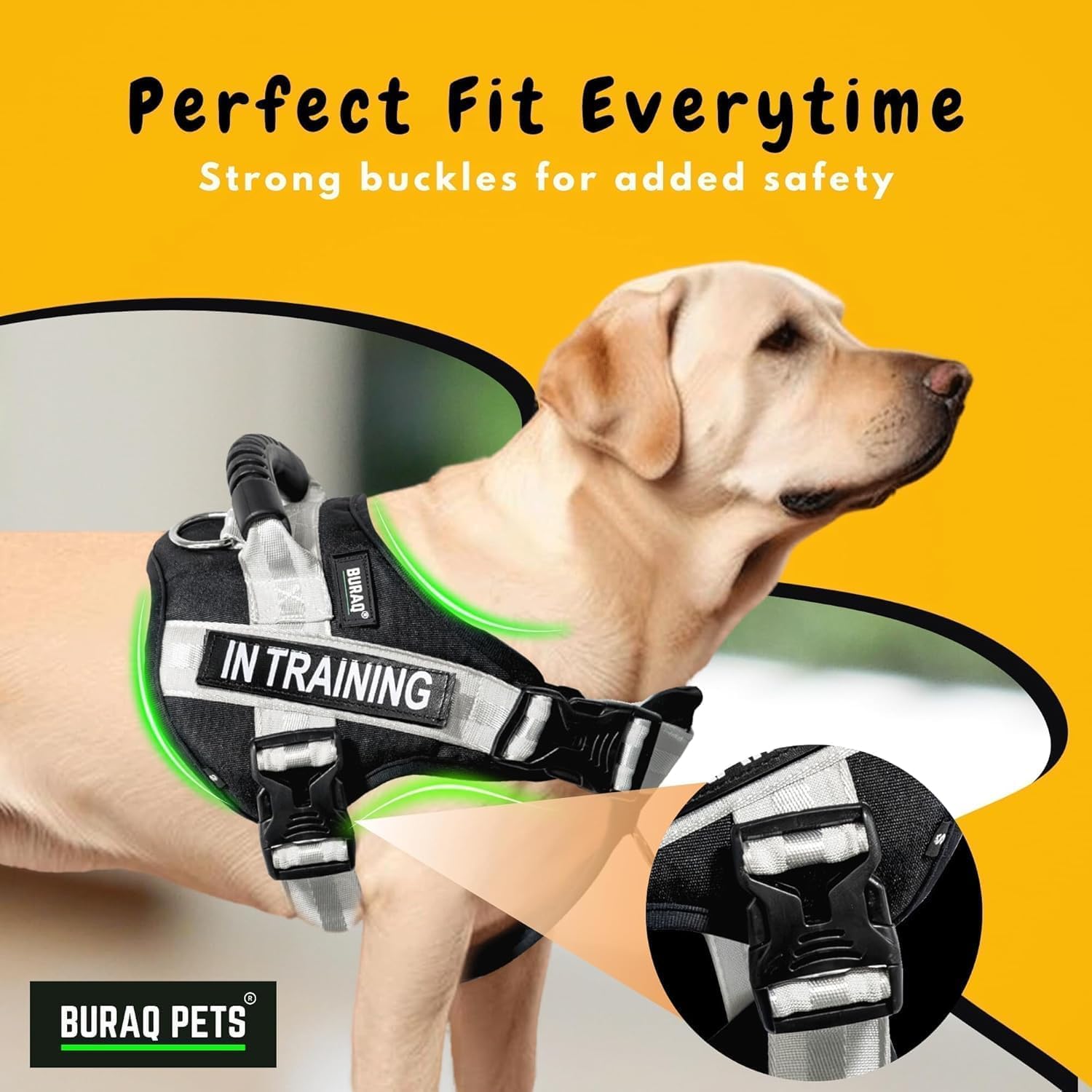 Tactical Dog Collar – Adjustable Nylon with Control Handle – premium pet product by Buraq Pets
