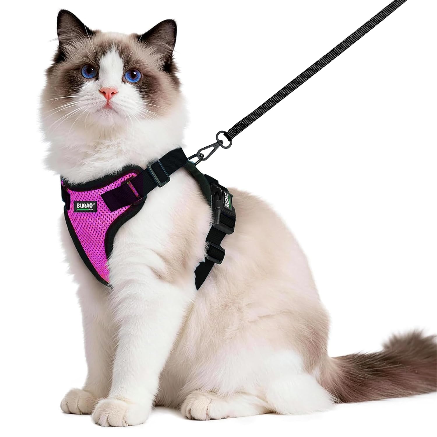 No Pull Cat Harness with Leash – Ultra-Light & Stylish Design