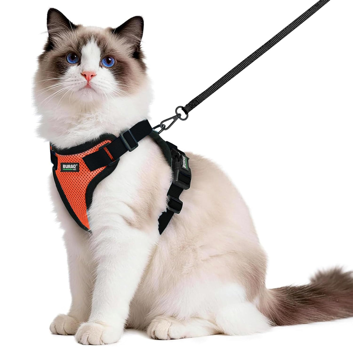 No Pull Cat Harness with Leash – Ultra-Light & Stylish Design