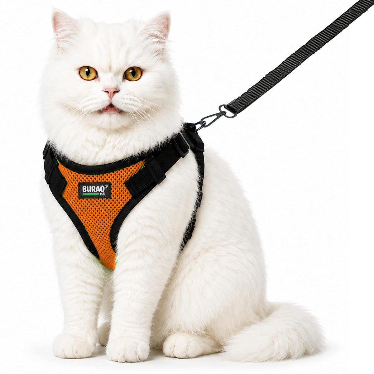 No Pull Cat Harness with Leash – Ultra-Light & Stylish Design