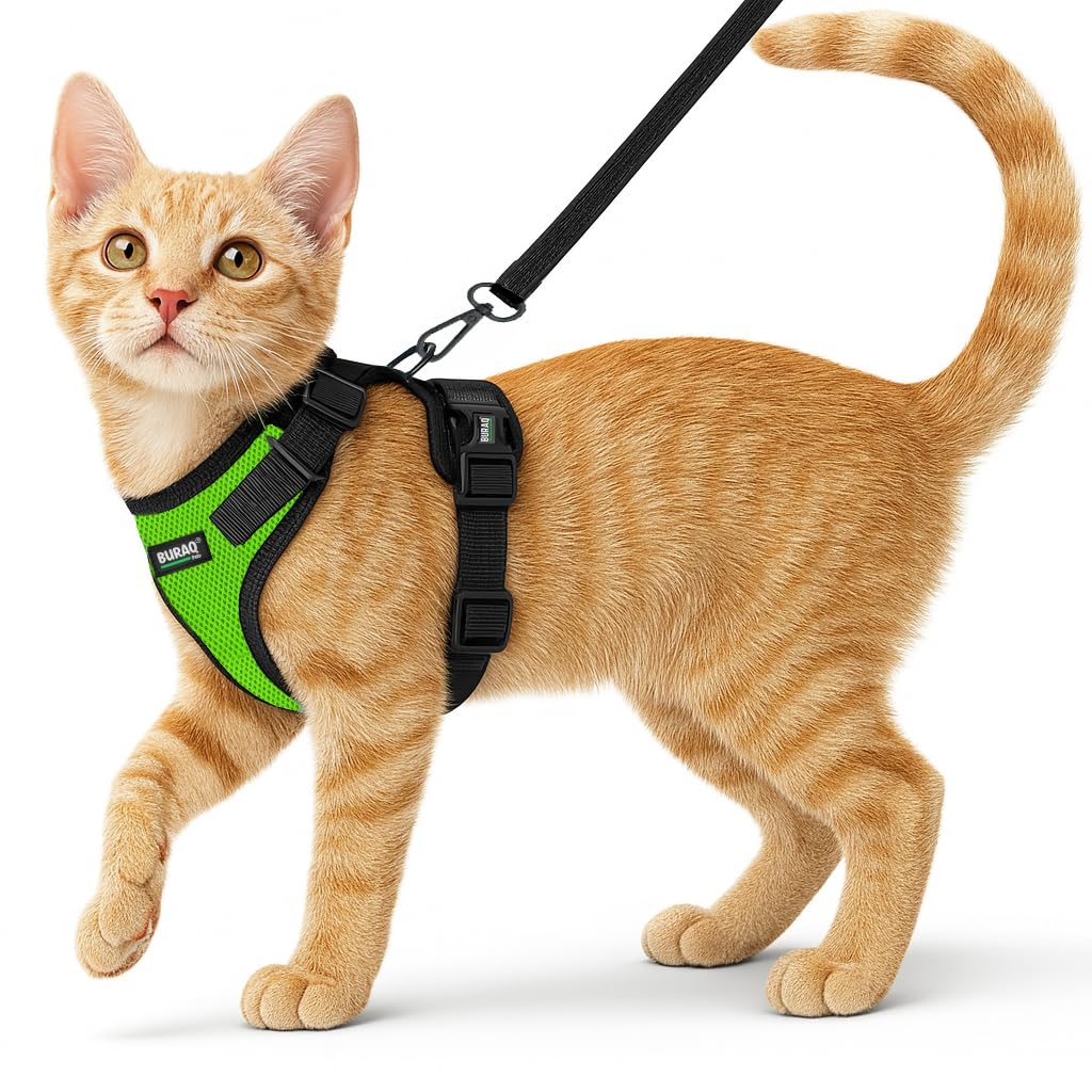 No Pull Cat Harness with Leash – Ultra-Light & Stylish Design