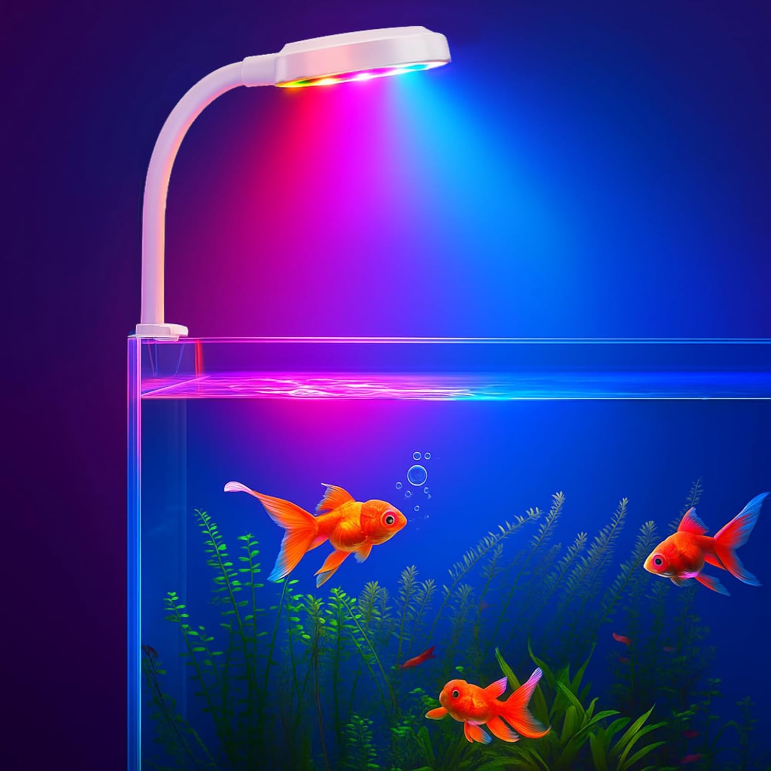 N6 Aquarium LED Light – 2.5W, Multicolor with Flexible Arm