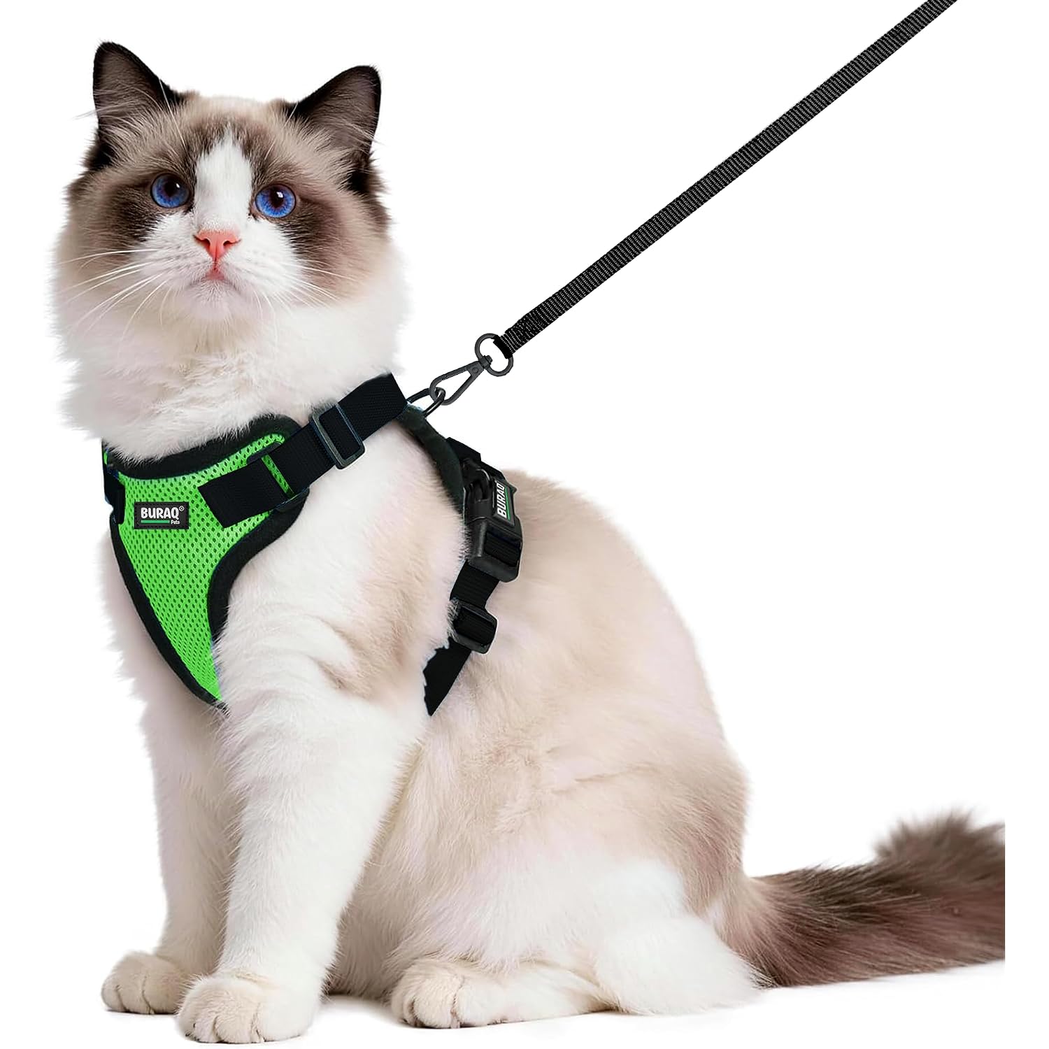 No Pull Cat Harness with Leash – Ultra-Light & Stylish Design