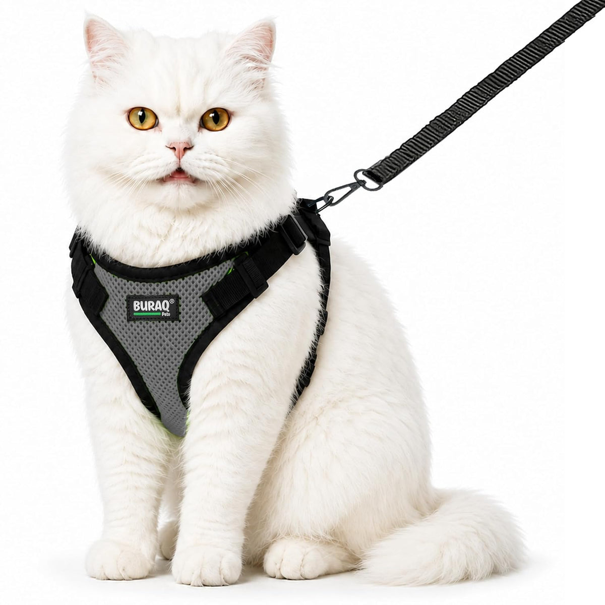 No Pull Cat Harness with Leash – Ultra-Light & Stylish Design