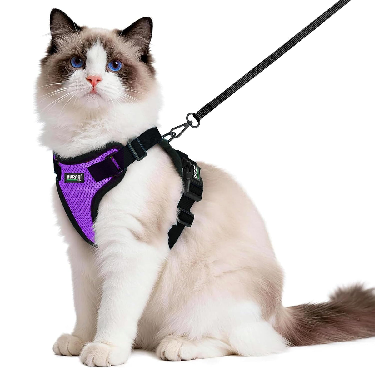 No Pull Cat Harness with Leash – Ultra-Light & Stylish Design