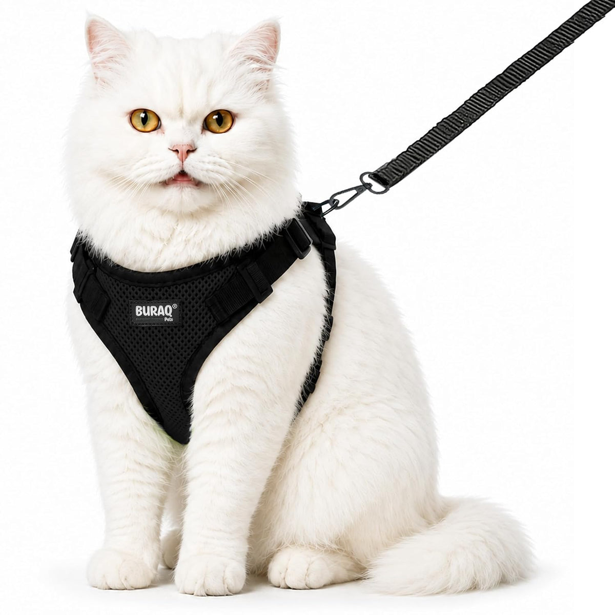 No Pull Cat Harness with Leash – Ultra-Light & Stylish Design