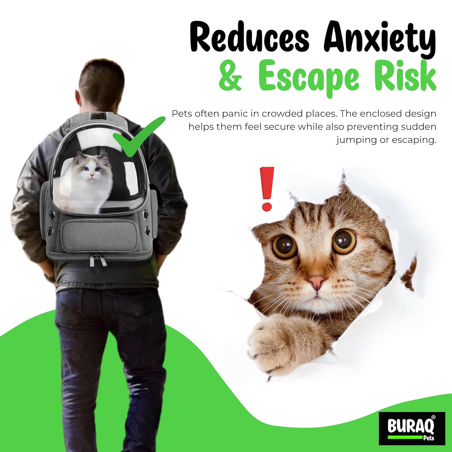 Bubble Cat Backpack Carrier – Breathable, Spacious & Stylish