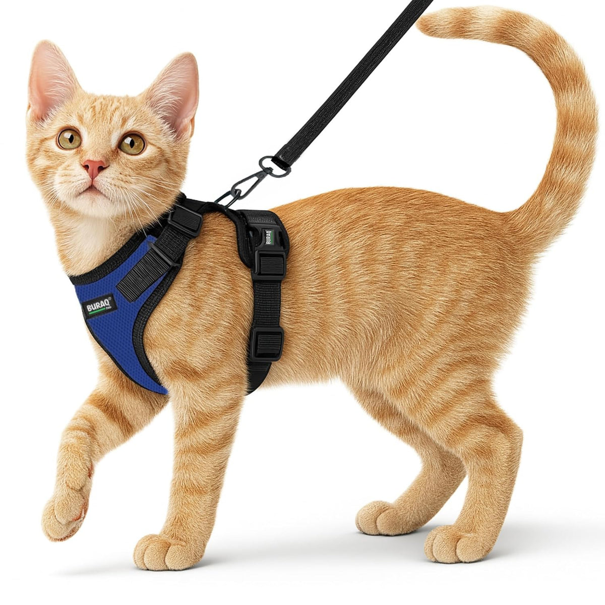 No Pull Cat Harness with Leash – Ultra-Light & Stylish Design