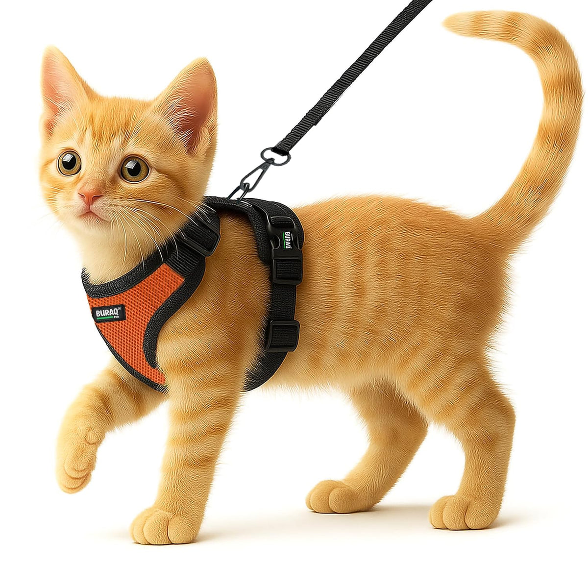 No Pull Cat Harness with Leash – Ultra-Light & Stylish Design