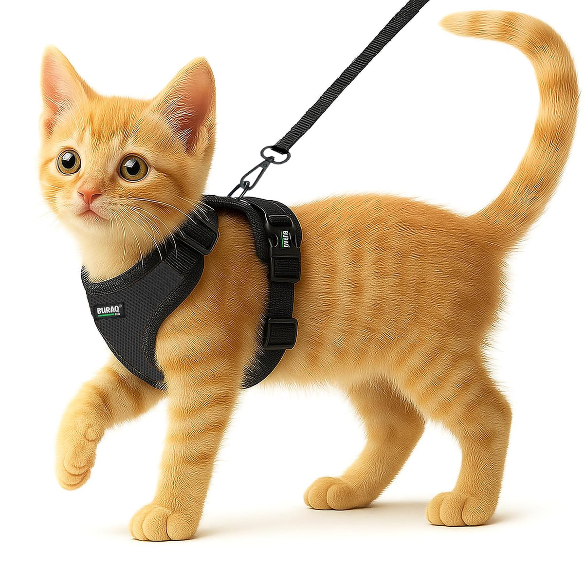 No Pull Cat Harness with Leash – Ultra-Light & Stylish Design