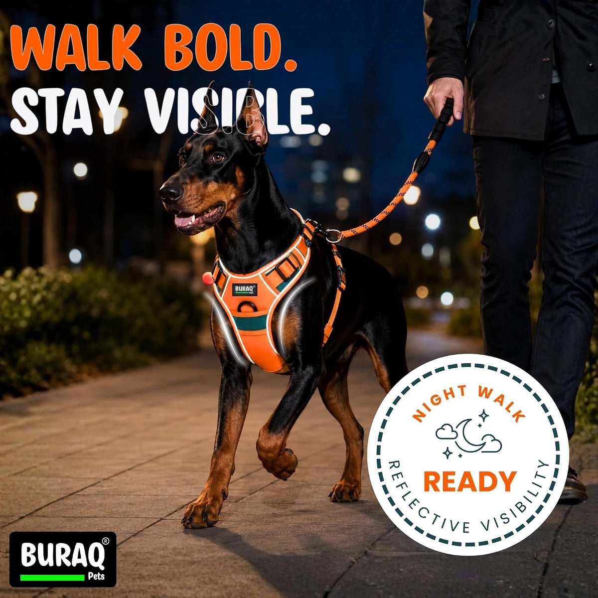 Premium No Pull Dog Harness with Leash - Adjustable Padded Vest
