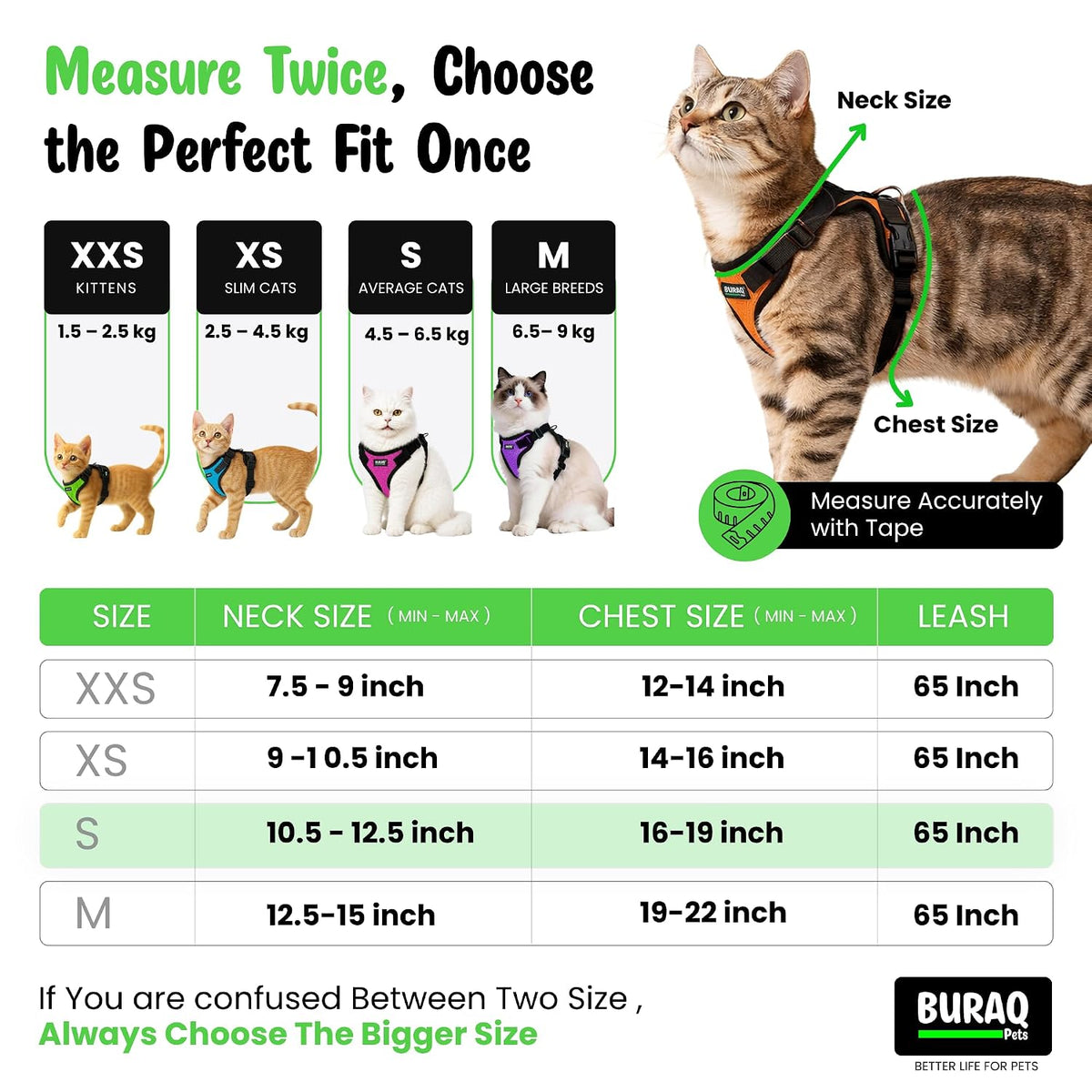 No Pull Cat Harness with Leash – Ultra-Light & Stylish Design