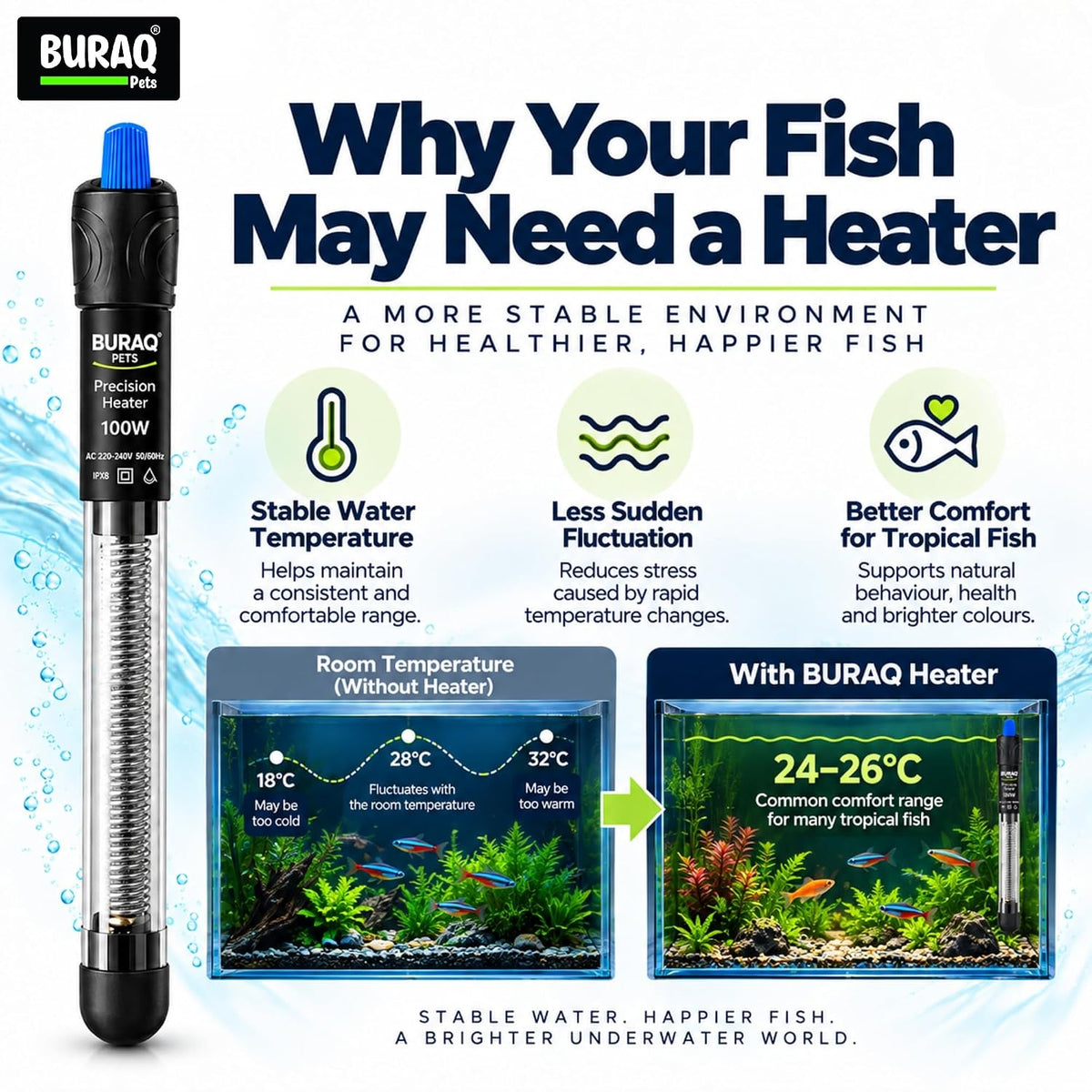 100W Automatic Glass Aquarium Heater for Fish Tank, Adjustable Temperature 18°C–32°C, Submersible Water Heater (Suitable Upto 2 FT Tank)
