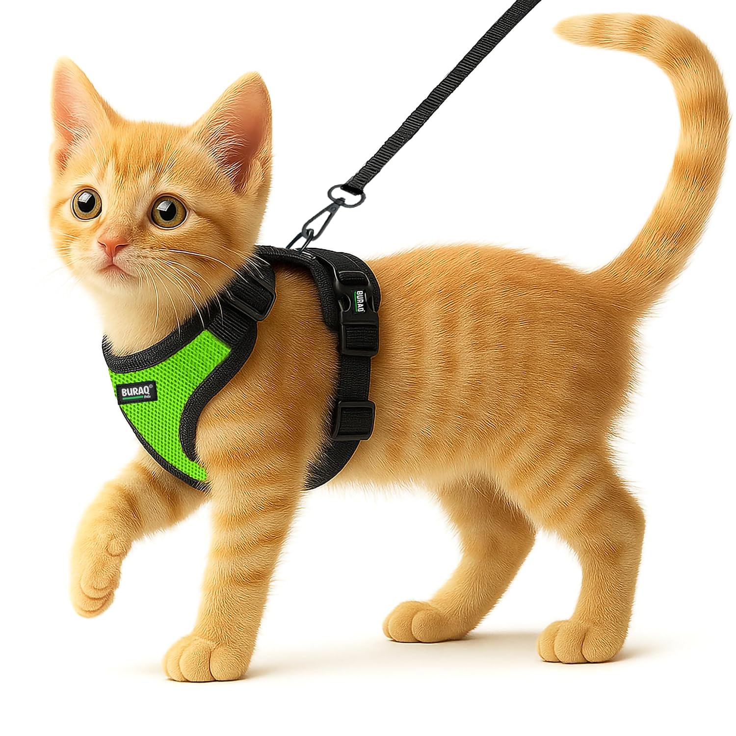 No Pull Cat Harness with Leash – Ultra-Light & Stylish Design