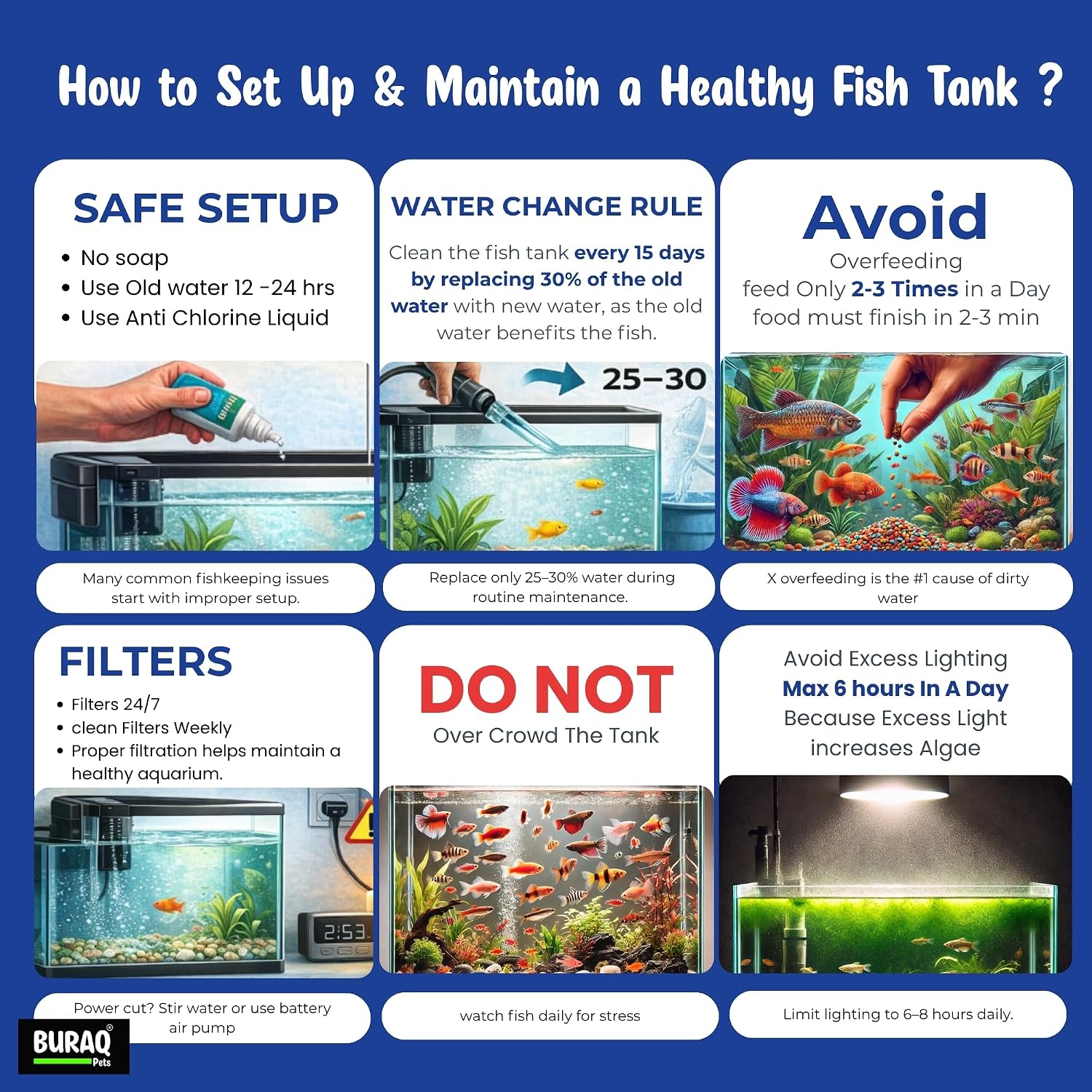 Curved Unbreakable Aquarium Tank with Top Filter & Light