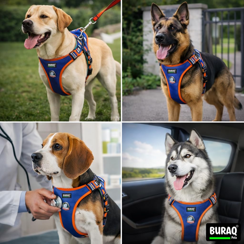 Aerofit Reflective No Pull Dog Harness & Leash – Adjustable Escape - Proof Vest for Dogs - BURAQ PETS