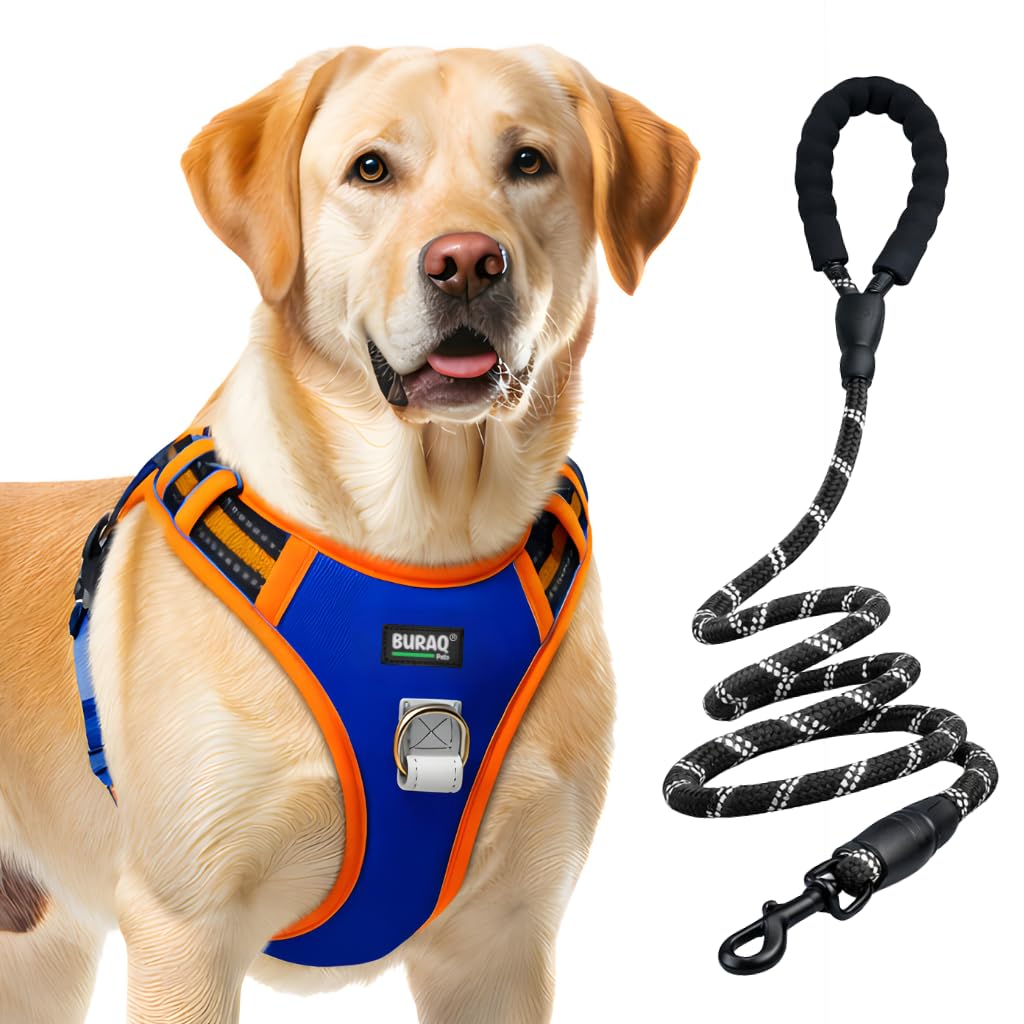 Aerofit Reflective No Pull Dog Harness & Leash – Adjustable Escape - Proof Vest for Dogs - BURAQ PETS