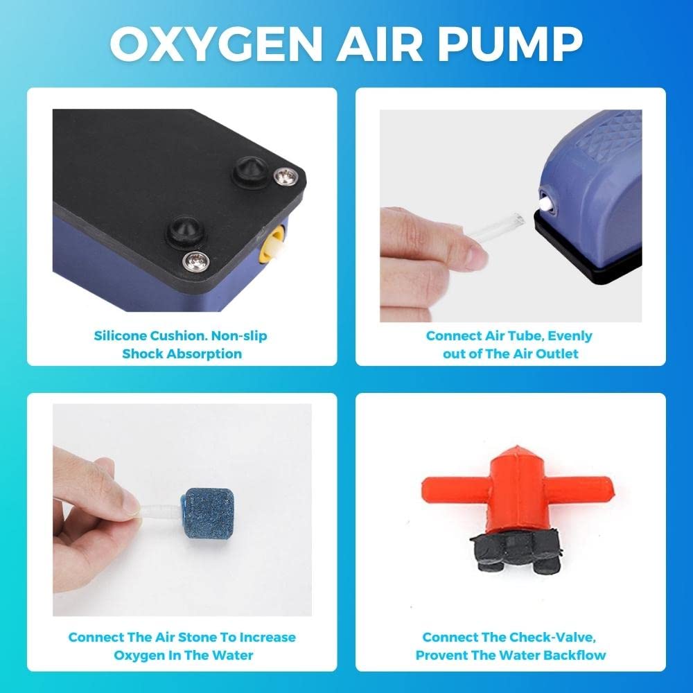 Complete Aquarium Starter Kit – Air Pump & Sponge Filter for Beginners to Pros - BURAQ PETS