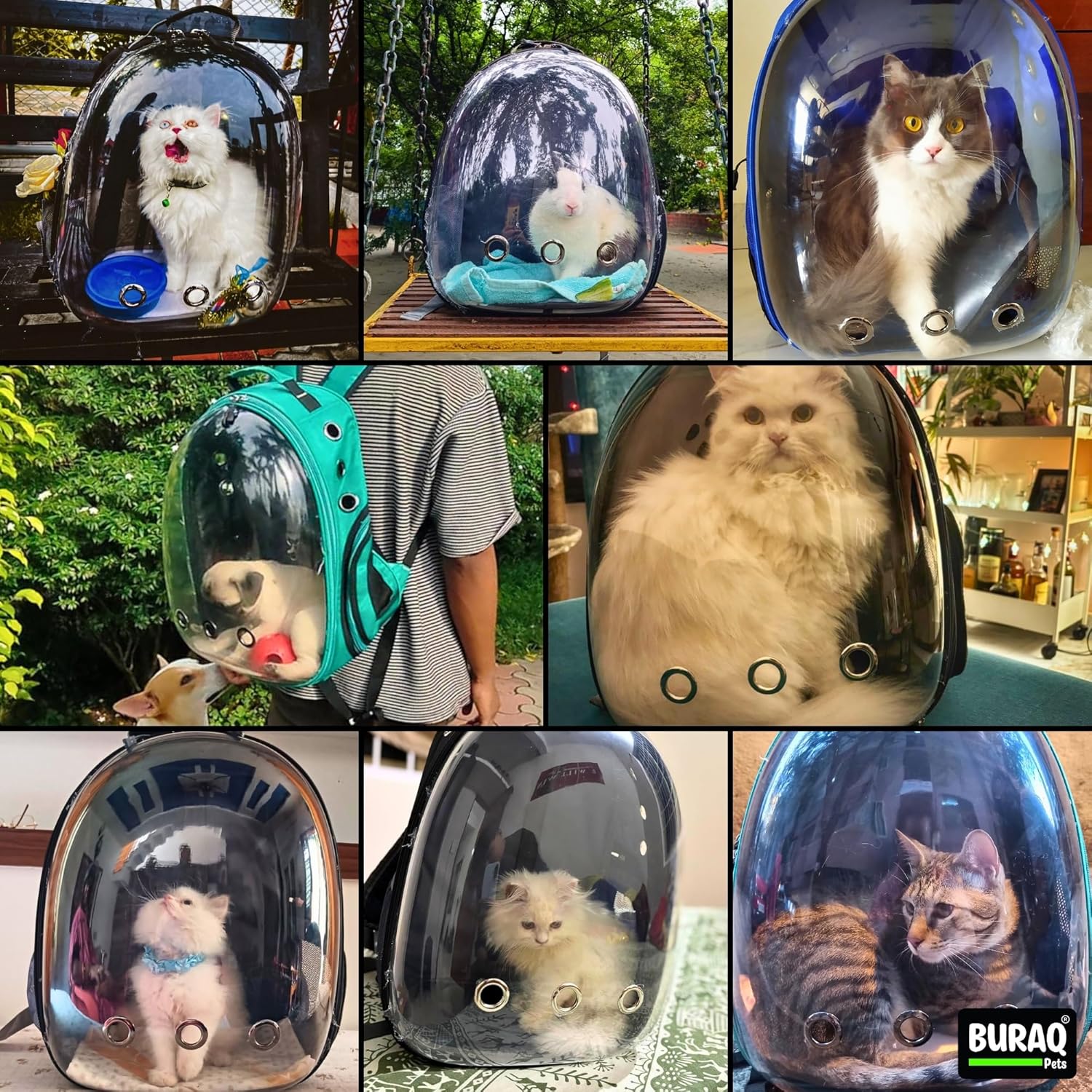 Astronaut Pro Pet Carrier Backpack – Breathable & Travel - Ready - BURAQ PETS