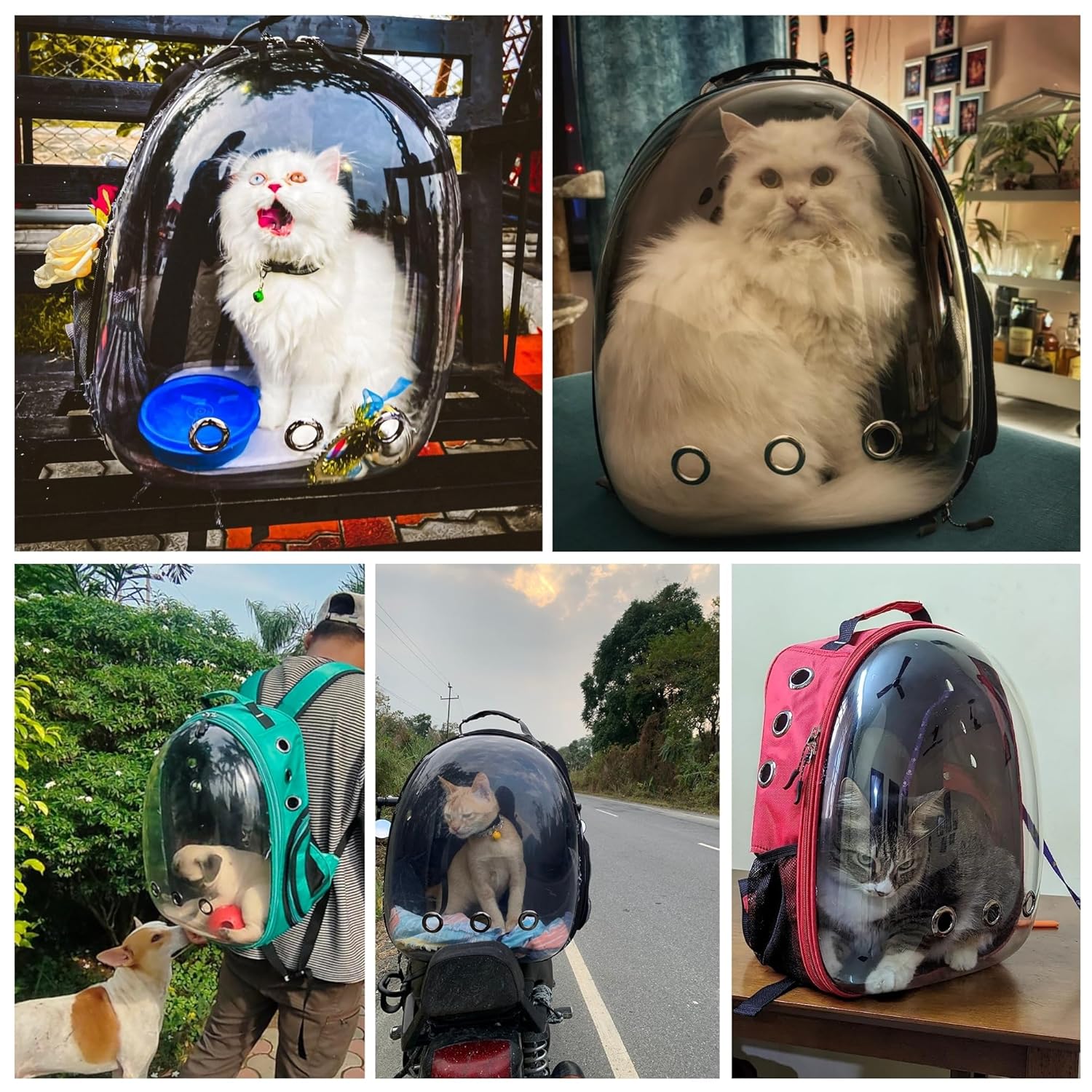 Astronaut Pro Pet Carrier Backpack – Breathable & Travel - Ready - BURAQ PETS