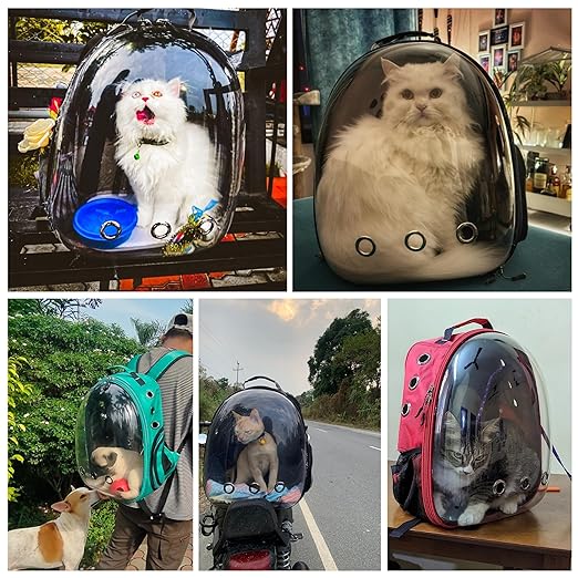 Astronaut Pro Pet Carrier Backpack – Transparent, Ventilated & Airline - Approved Cat Bag - BURAQ PETS