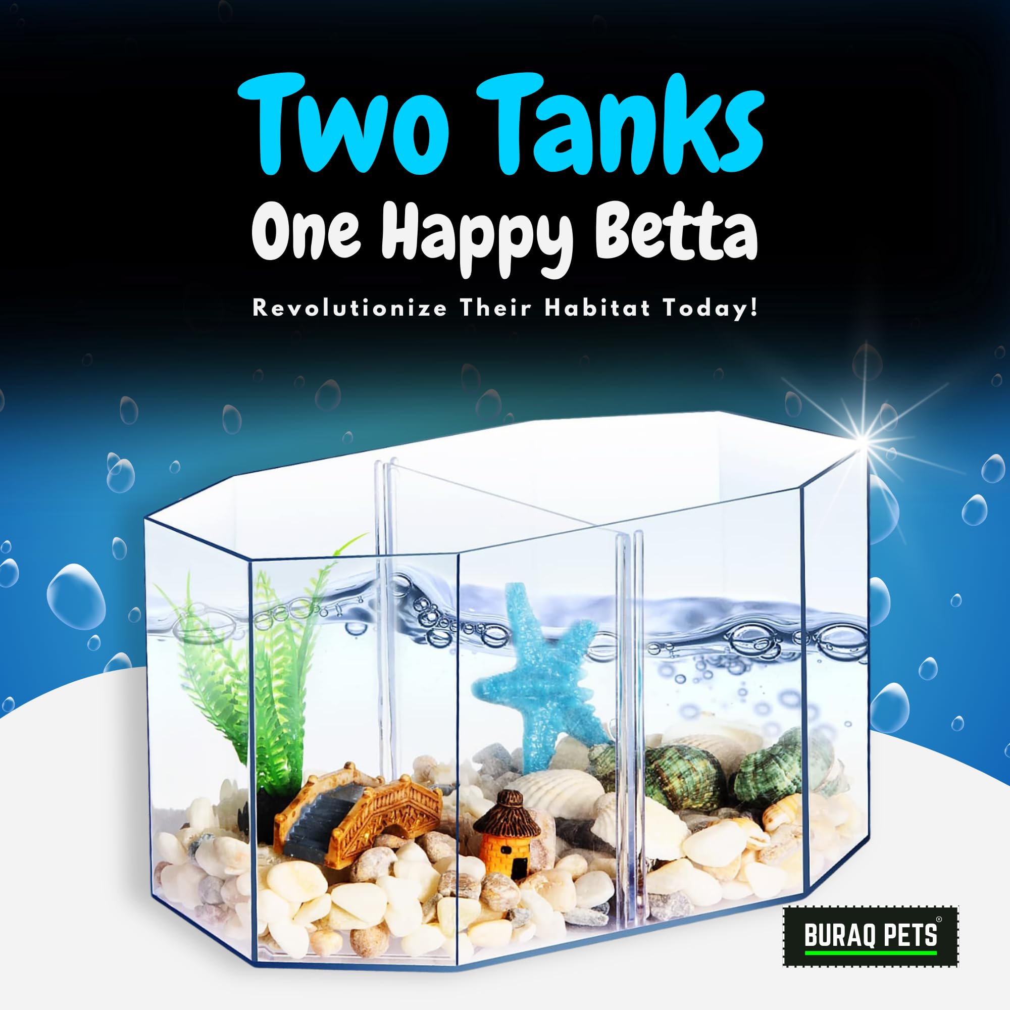Betta Dream Tank - BURAQ PETS