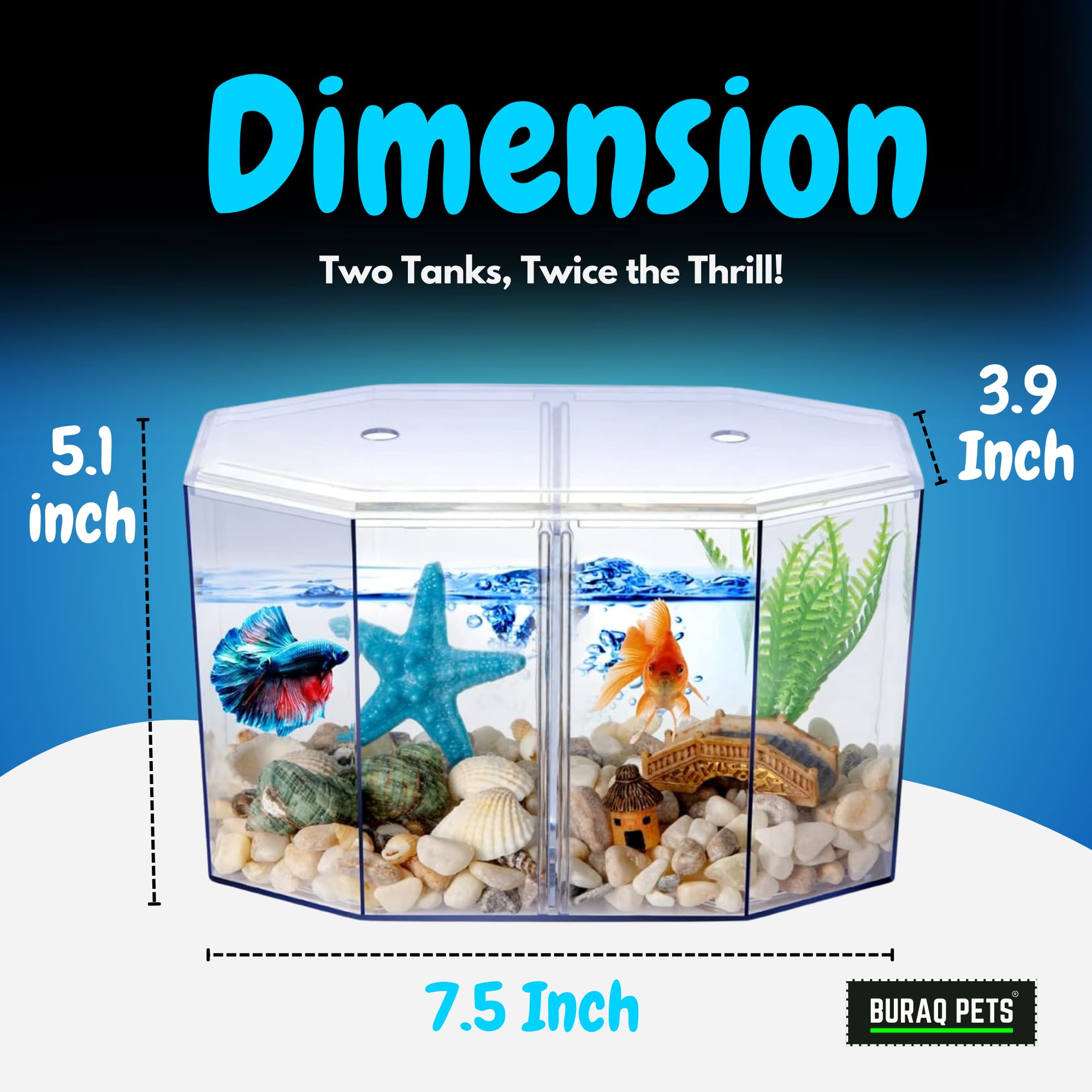 Betta Dream Tank - BURAQ PETS