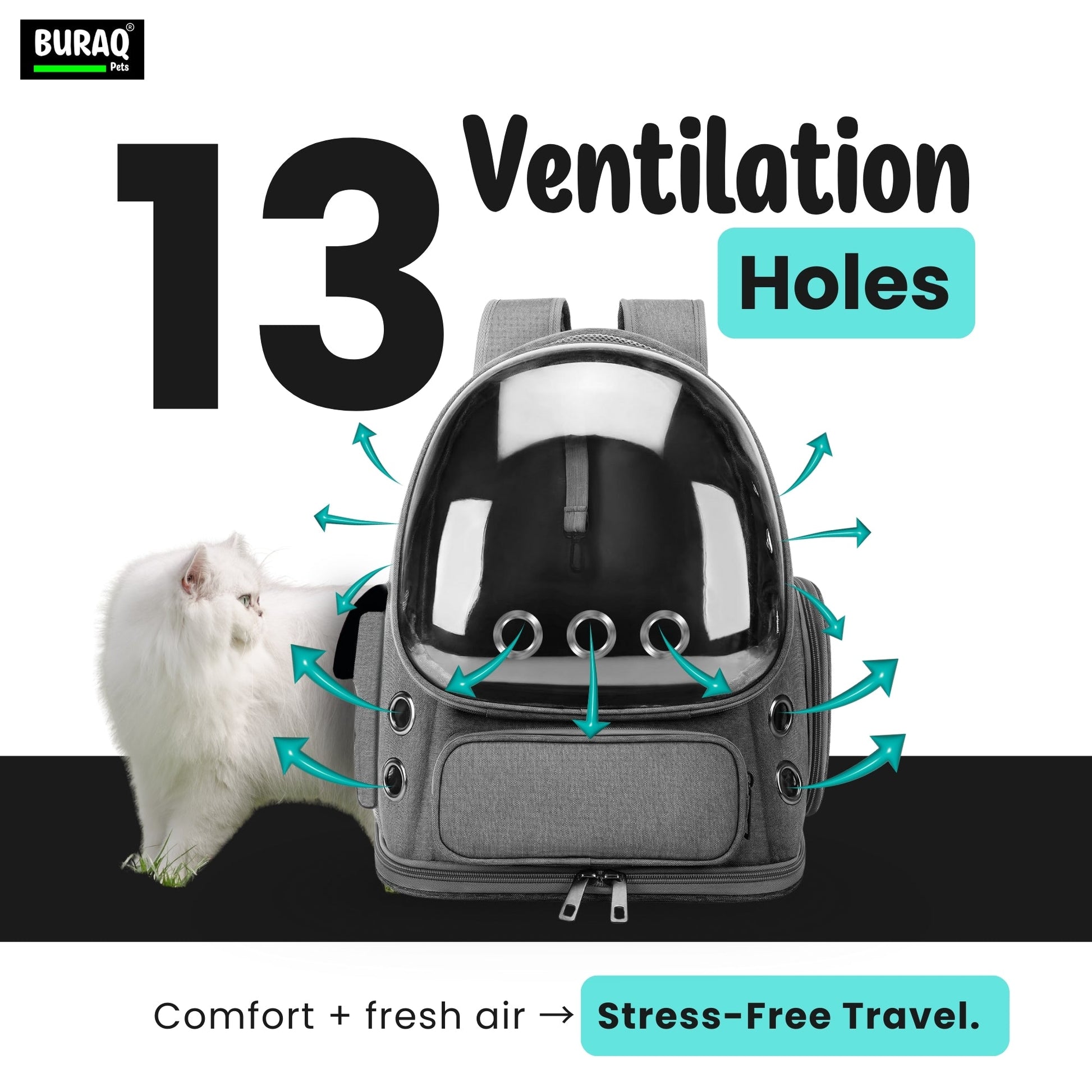 Bubble Cat Backpack Carrier – Breathable, Spacious & Stylish - BURAQ PETS
