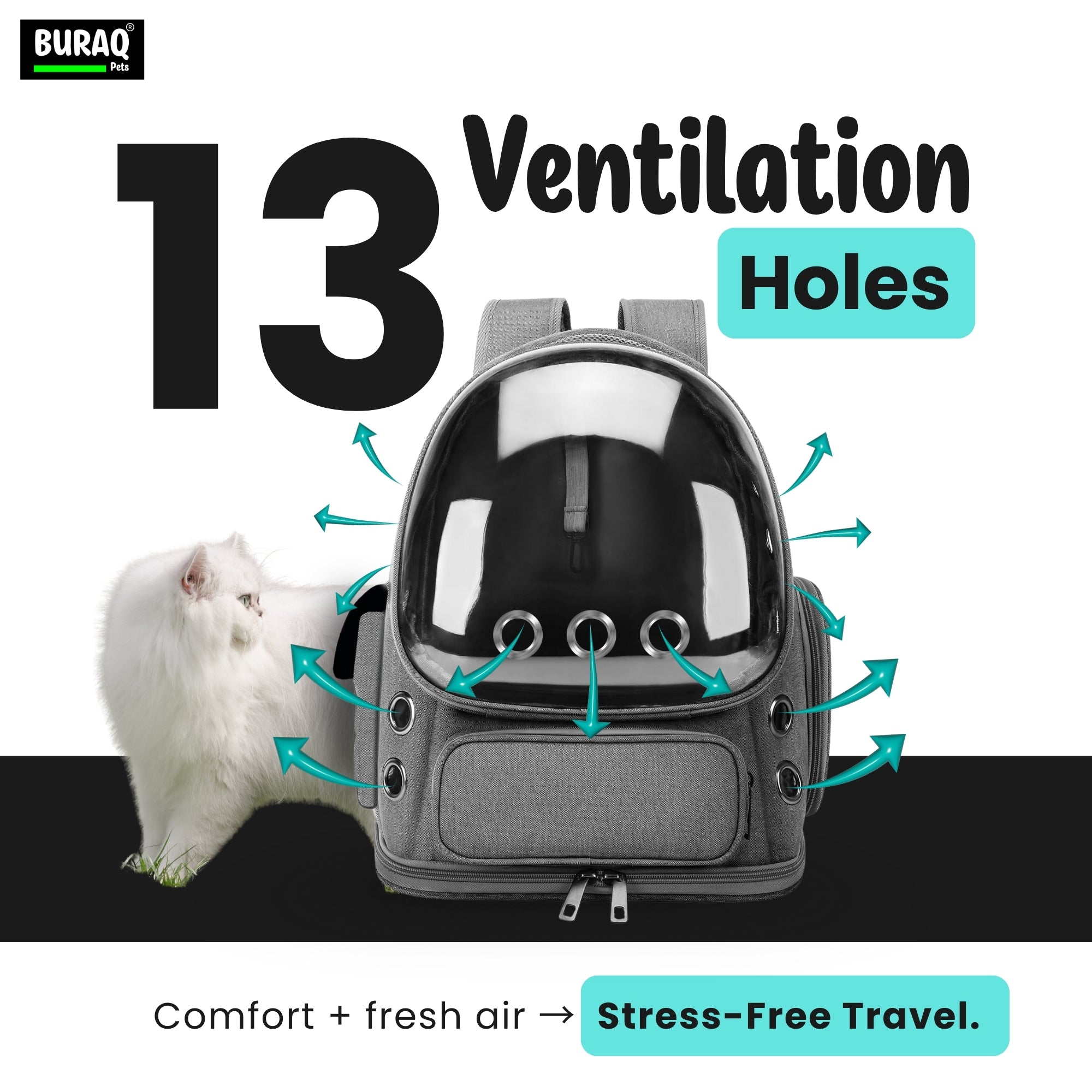 Bubble Cat Backpack Carrier – Breathable, Spacious & Stylish - BURAQ PETS