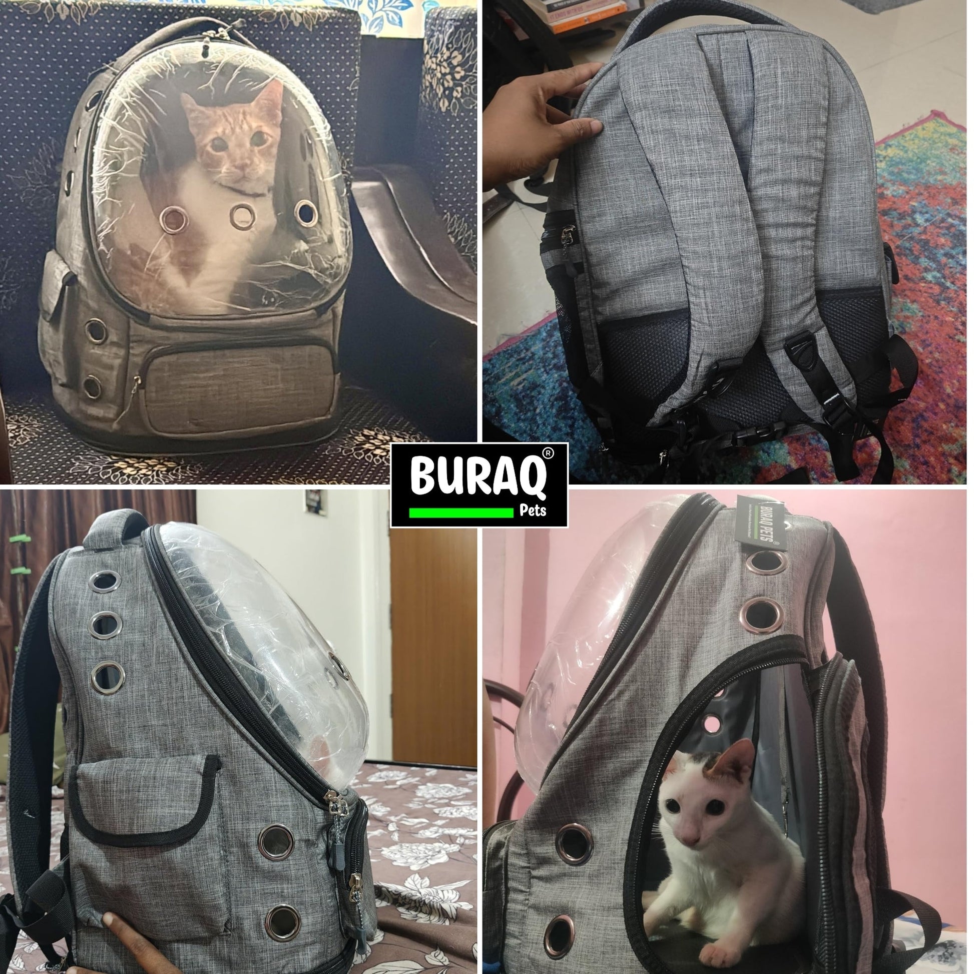 Bubble Cat Backpack Carrier – Breathable, Spacious & Stylish - BURAQ PETS
