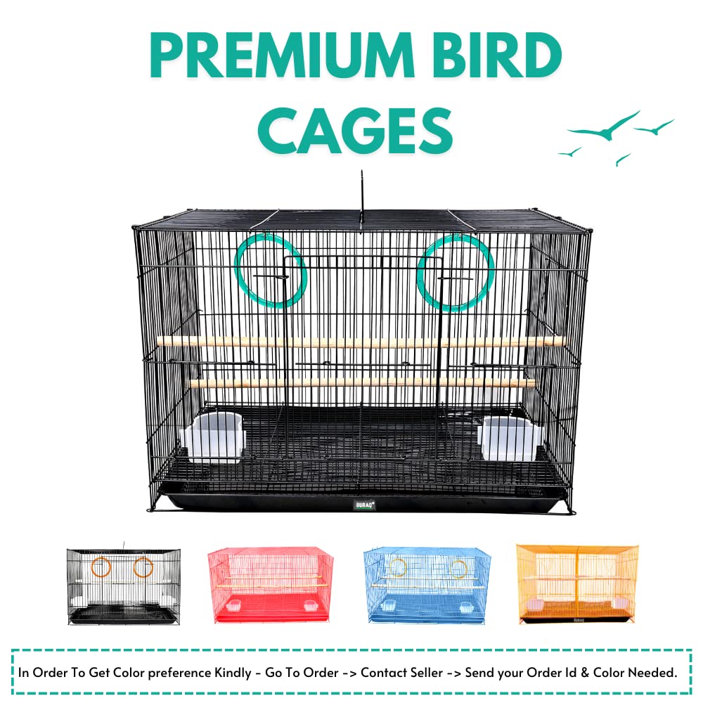 2 Ft Metal Bird Cage – With 3 Swings & Toys | Ideal for Lovebirds & Parrots (23.5" x 16.5" x 16") - BURAQ PETS