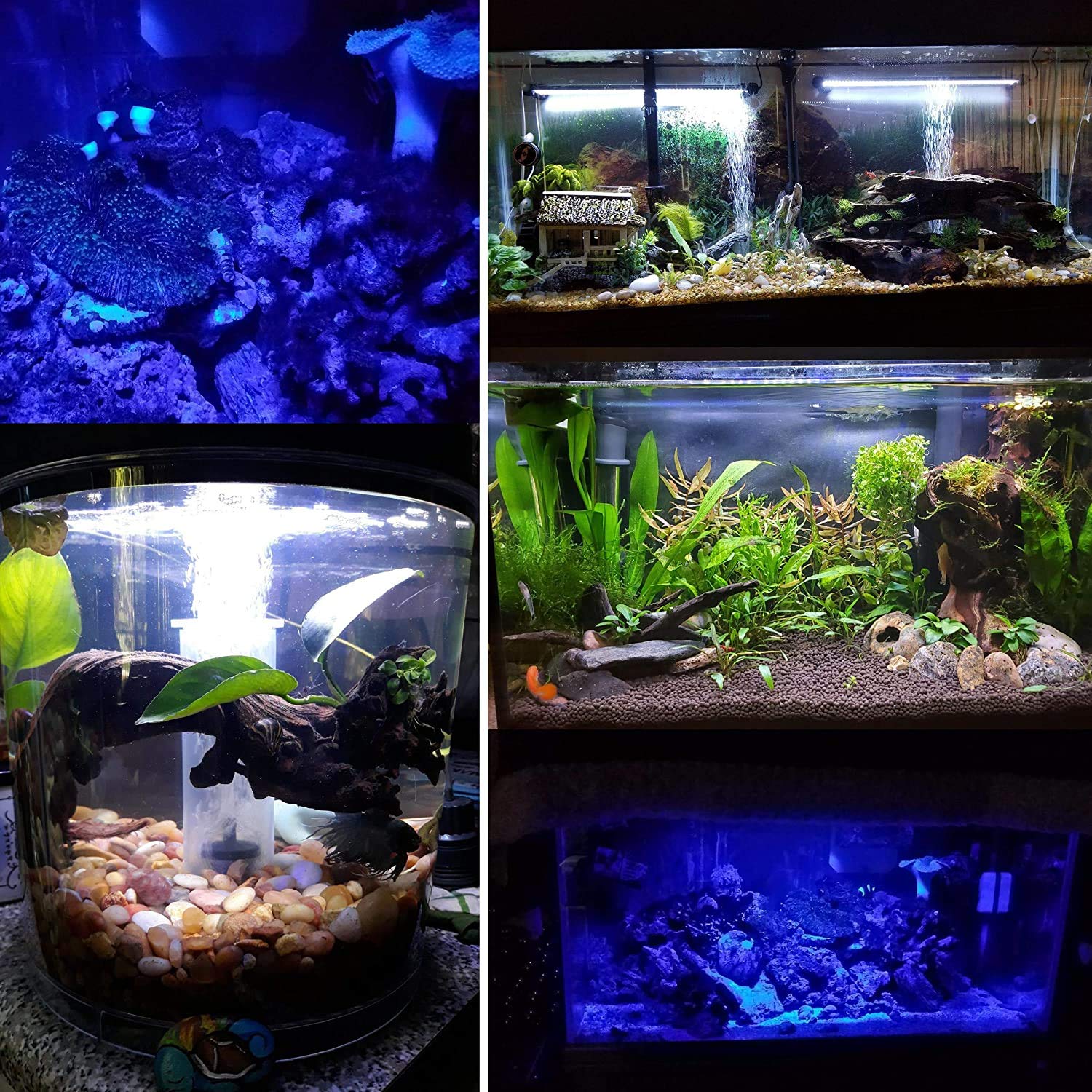 Buraq 2 In 1 Aquarium Essentials Kit 15W Aquarium Filters + Light For Making Your Fish Tank Superior | Features With Low Power Consumption | Submersible Light Changing switch | Waterproof iP68 Rated | Aquarium Accessories For FIsh Tank - BURAQ PETS