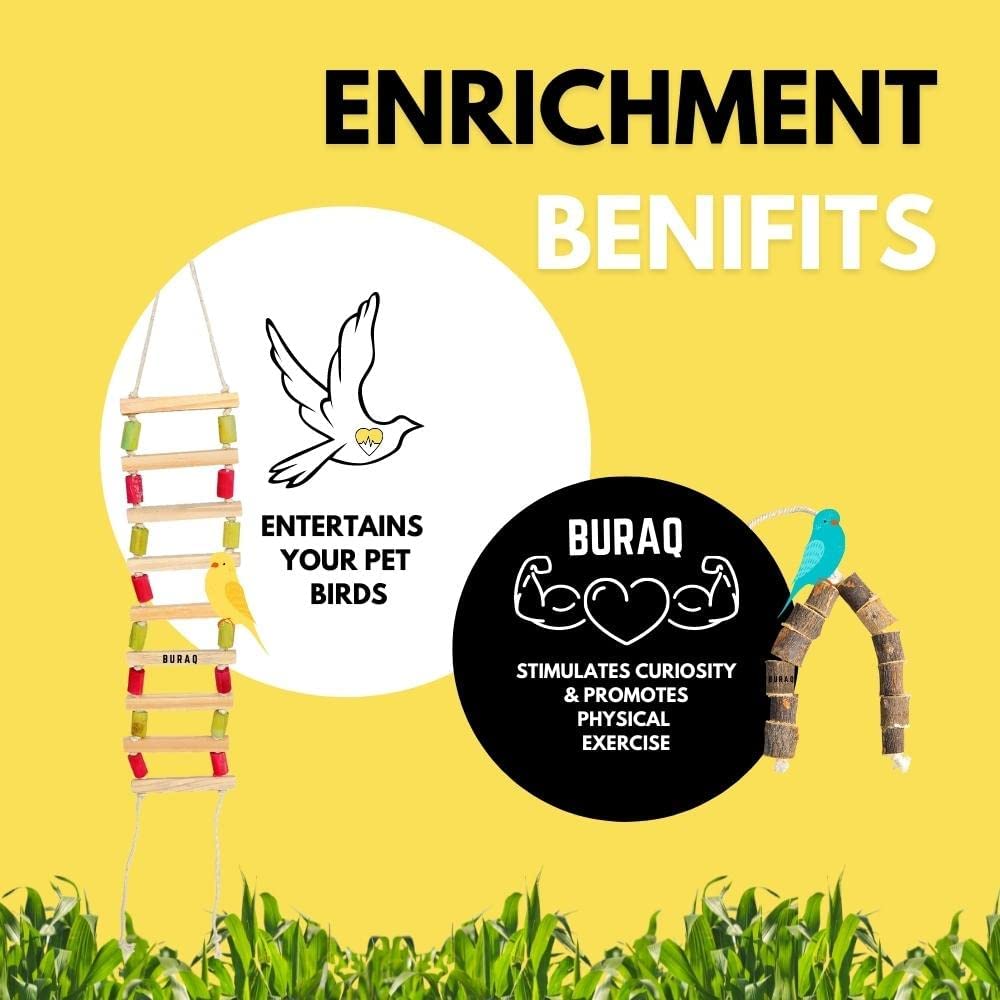 2 Pcs Bird Toys Basic - Bird Ladder ,Hanging Chewable Bird Toy Made with BambooBird Toys BasicBURAQ PETS