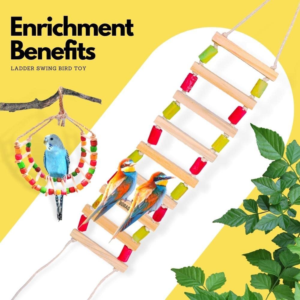 BURAQ 2 Pcs Bird Toys Basic - Bird Ladder | Hanging Chewable Bird Toy Made with Bamboo | Suitable for Birds (Basic - Bird Toys) - BURAQ PETS