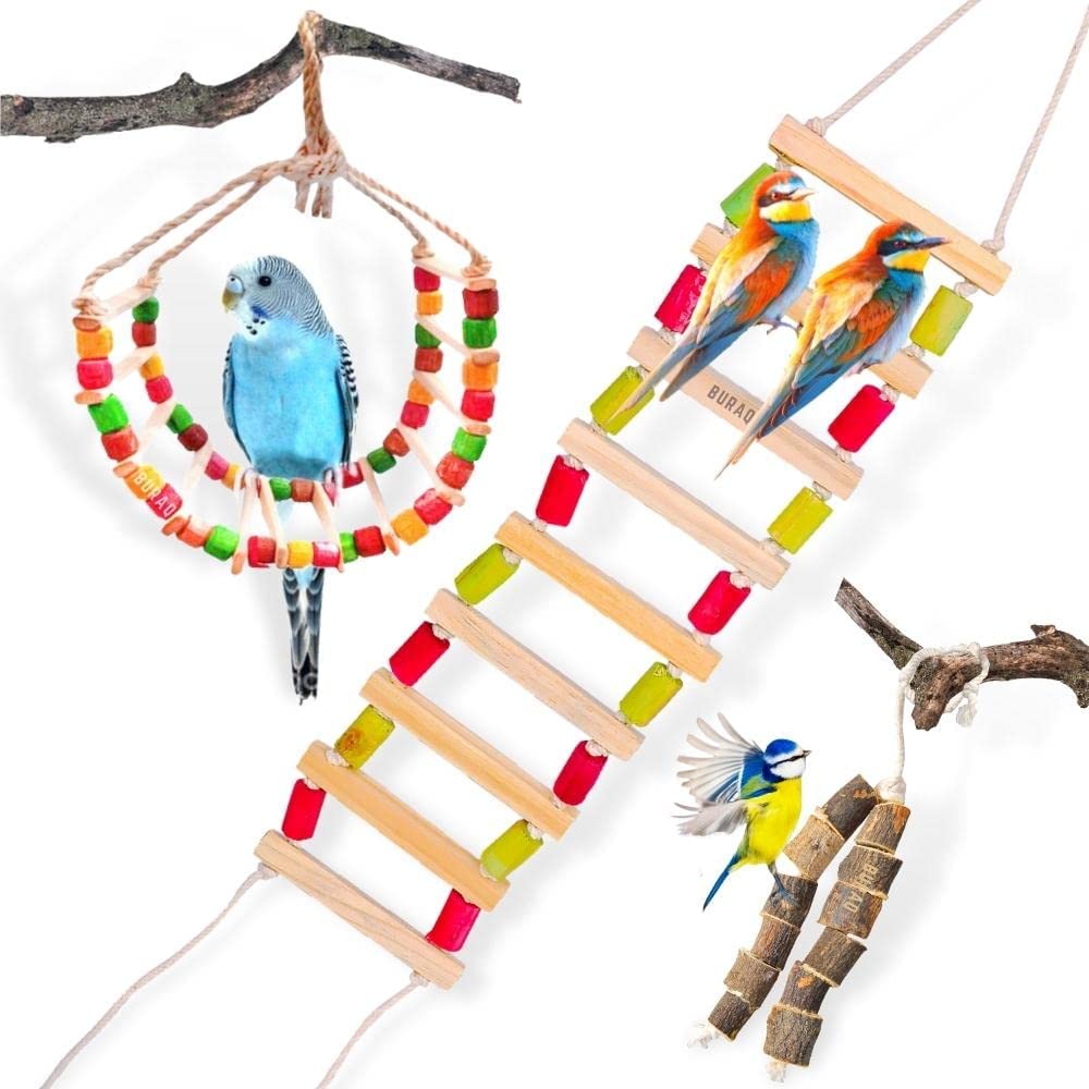 BURAQ 2 Pcs Bird Toys Basic - Bird Ladder | Hanging Chewable Bird Toy Made with Bamboo | Suitable for Birds (Basic - Bird Toys) - BURAQ PETS