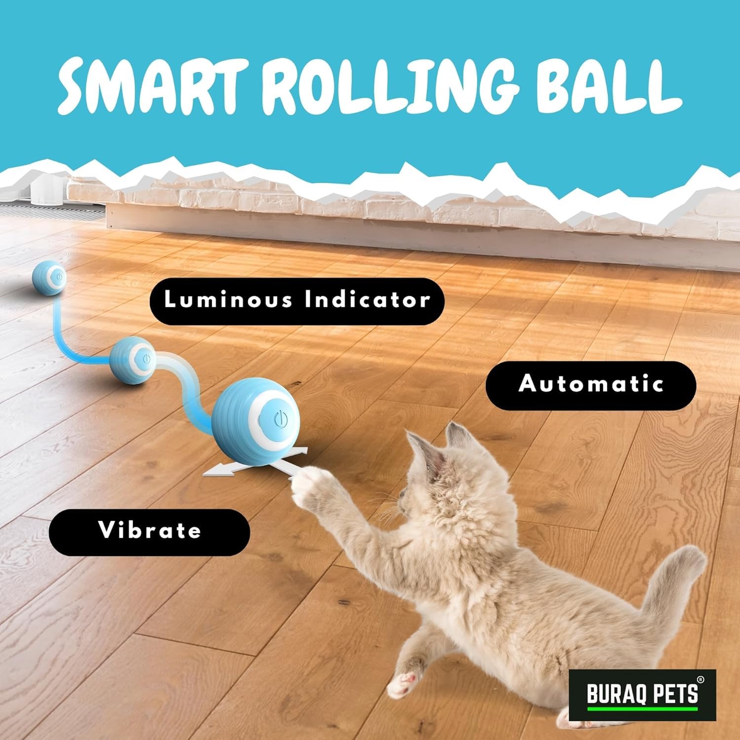 BURAQ 360° Smart Gravity Self Roller Ball Cat Toy, Type - C Charge, Interactive Cat Toys, Automatic Rolling Smart Cat Toy Ball - BURAQ PETS