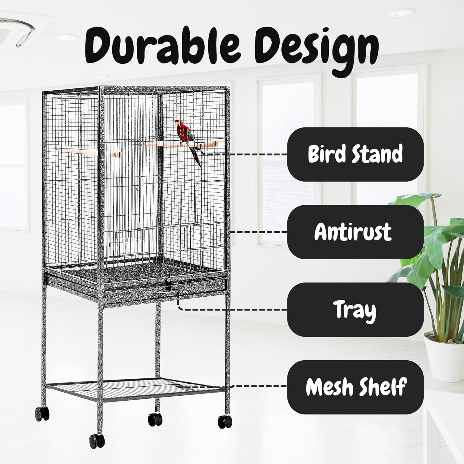 Buraq 48 Inch Extendable Extra Large Bird Cage, Includes Locking Casters & Bird Cage Accessories, for Small & Medium Types of Birds (Extra Large - ... - BURAQ PETS