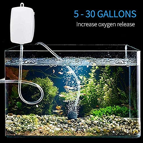 Buraq Aquarium Oxygen Air Pump Motor Provides Additional Oxygen | Low - Power | Long Lasting Performance | Accessories for Fish Tank - BURAQ PETS