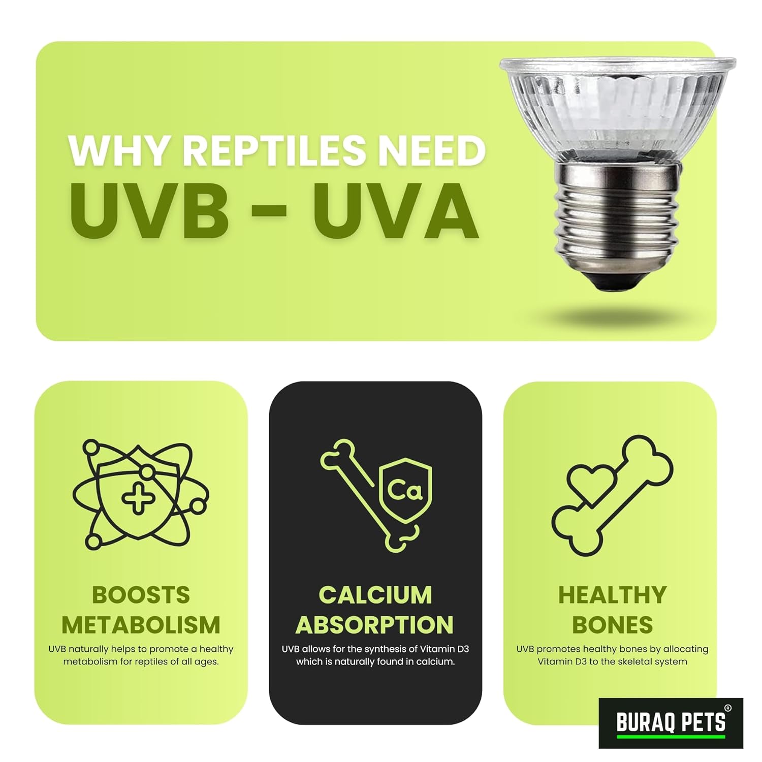 Reptile Heat Lamp BL-F02 – UVA+UVB Full Spectrum Basking Light with Holder & 2 Bulbs - BURAQ PETS