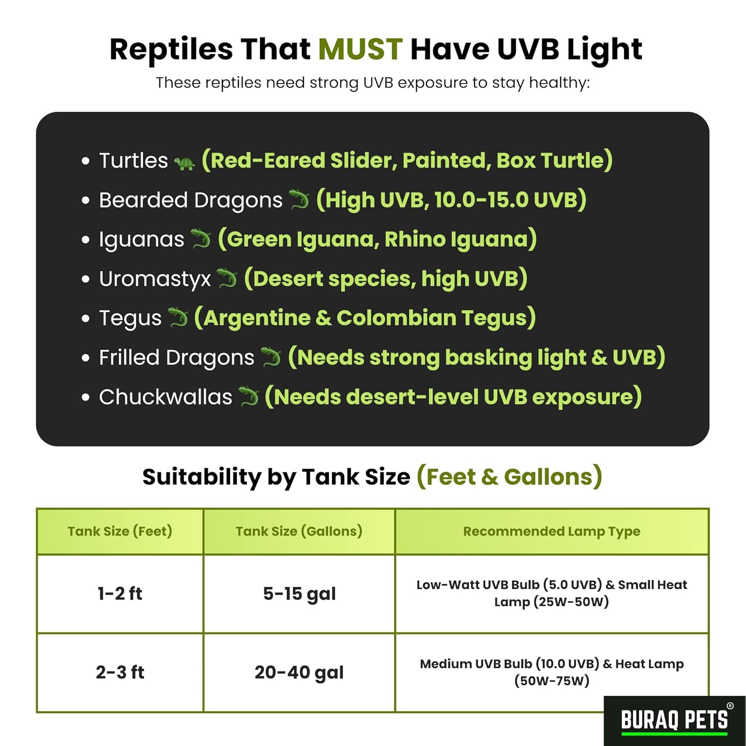 Reptile Heat Lamp BL-F02 – UVA+UVB Full Spectrum Basking Light with Holder & 2 Bulbs - BURAQ PETS