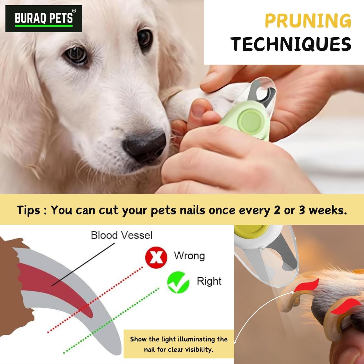 Buraq Dog & Cat Nail Clipper with LED Light – Safe, Ergonomic Pet Nail Trimmer with Safety Guard, Sharp Durable Blades, Professional Grooming Tool for Pets - BURAQ PETS