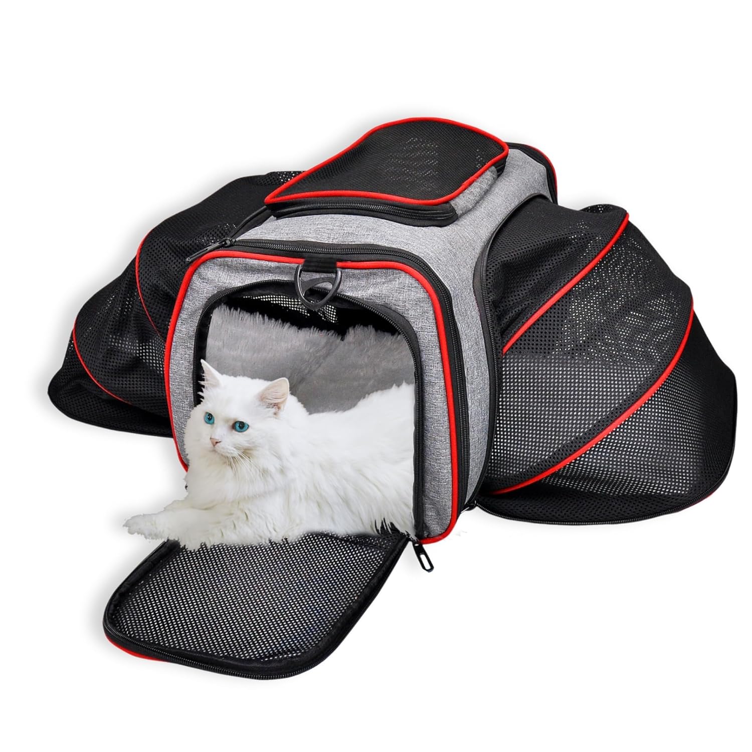 Buraq Expandable Premium Pet Luggage Carrier, Detachable & Adjustable Travel Bag with Ventilation, Lightweight, Durable & Portable for Cats (Ruby Red) - BURAQ PETS