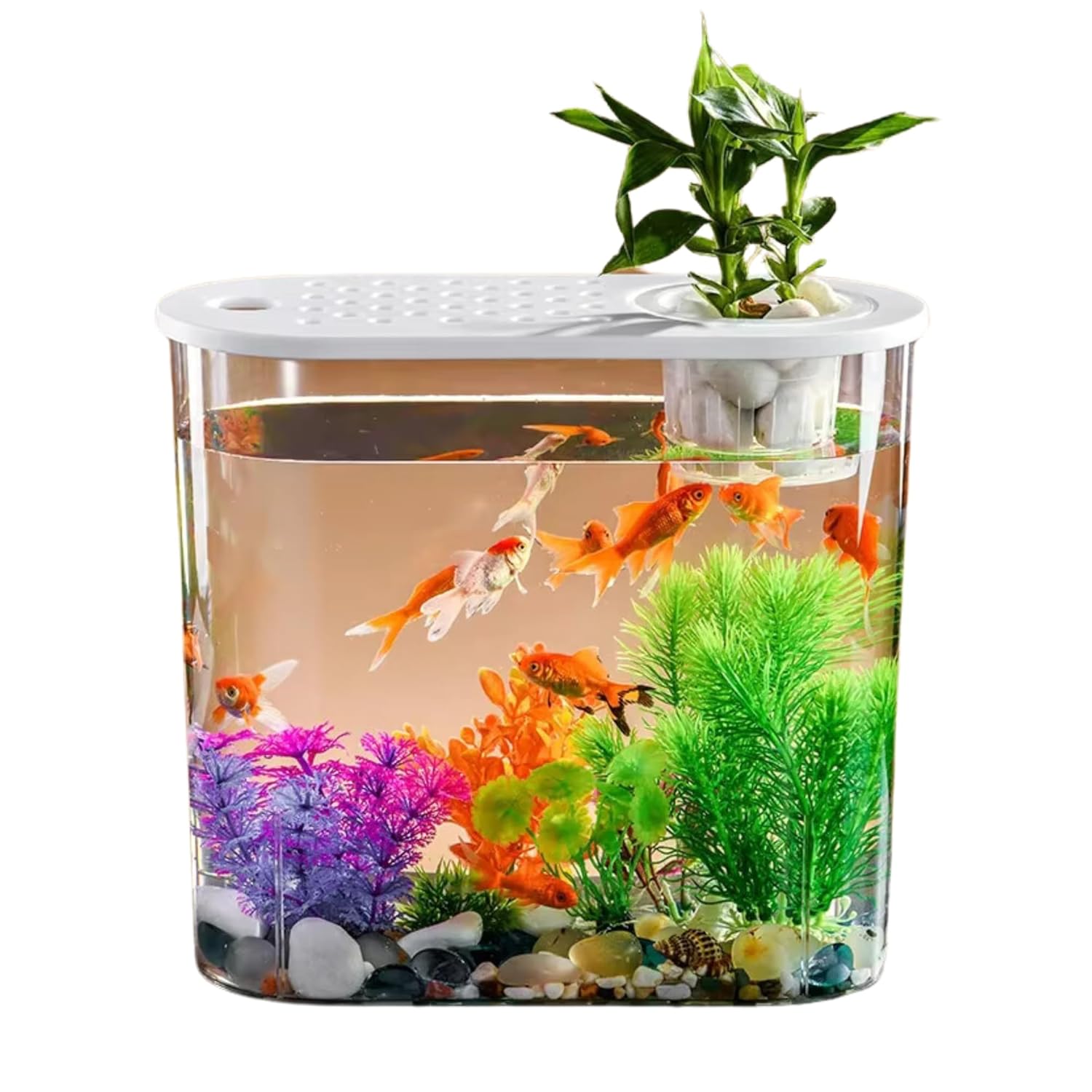 Buraq Hydroponic Fashion Aquarium Mini Fish Tank with Planting Basket for Guppies, Shrimp, Polycarbonate Material, Suitable for Home, Living Room and Office - BURAQ PETS